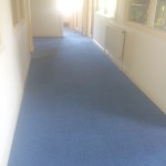 tenancy carpet cleaning