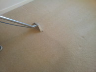 carpet cleaning in liverpool